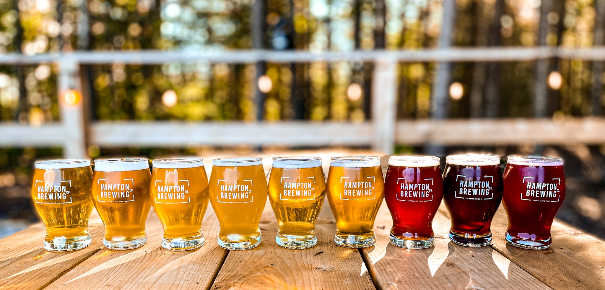 HBC Beers lined-up showing color gradient